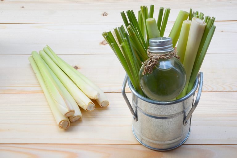 Lemongrass Essential Oil