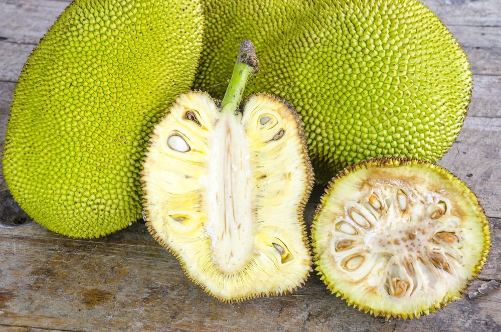 Jackfruit