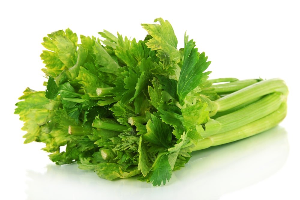 Celery