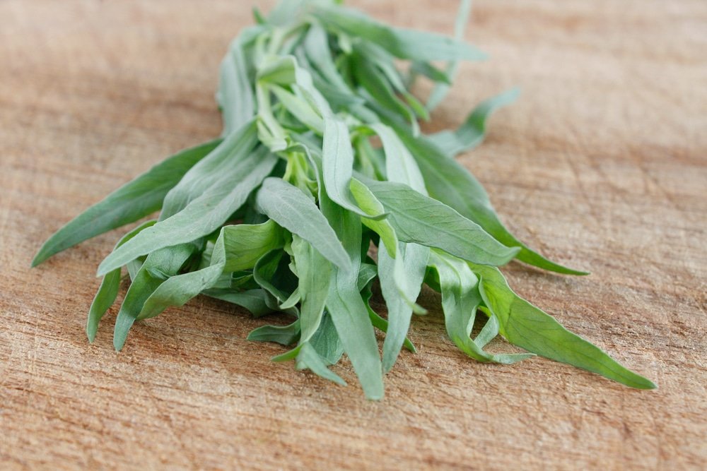 13 Amazing Health Benefits of Tarragon