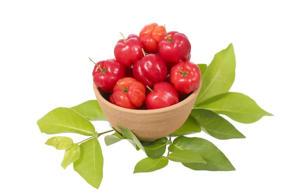 11 Amazing Health Benefits of Acerola