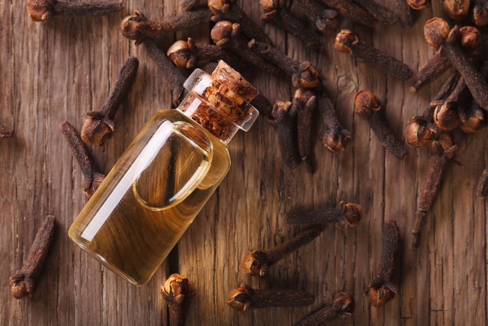 Clove Oil health benefits