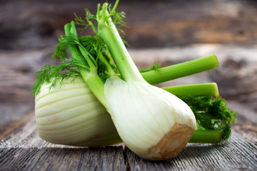 Fennel Benefits