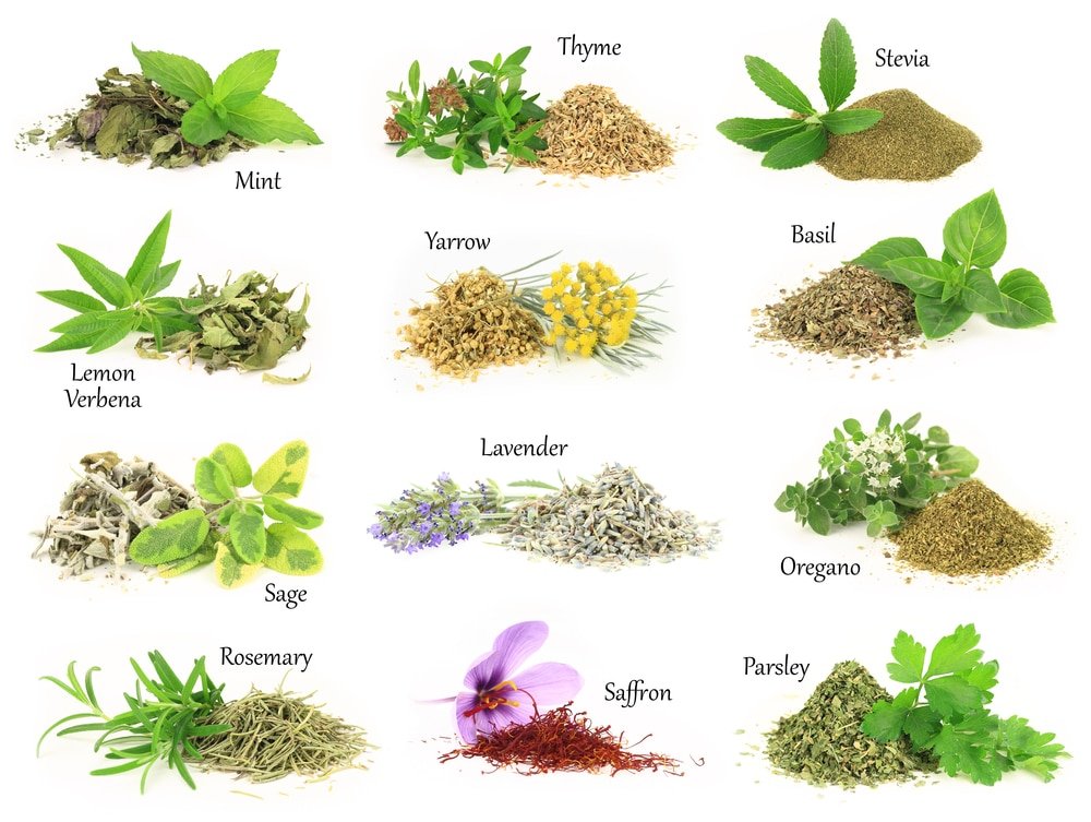 15 Impressive Health Benefits of Herbs