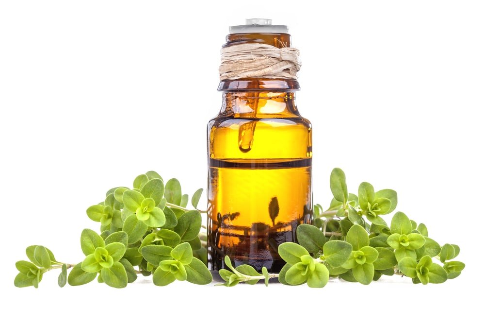 Marjoram Essential Oil health benefits