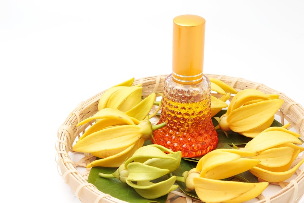 11 Amazing Health Benefits of Ylang-Ylang Essential Oil