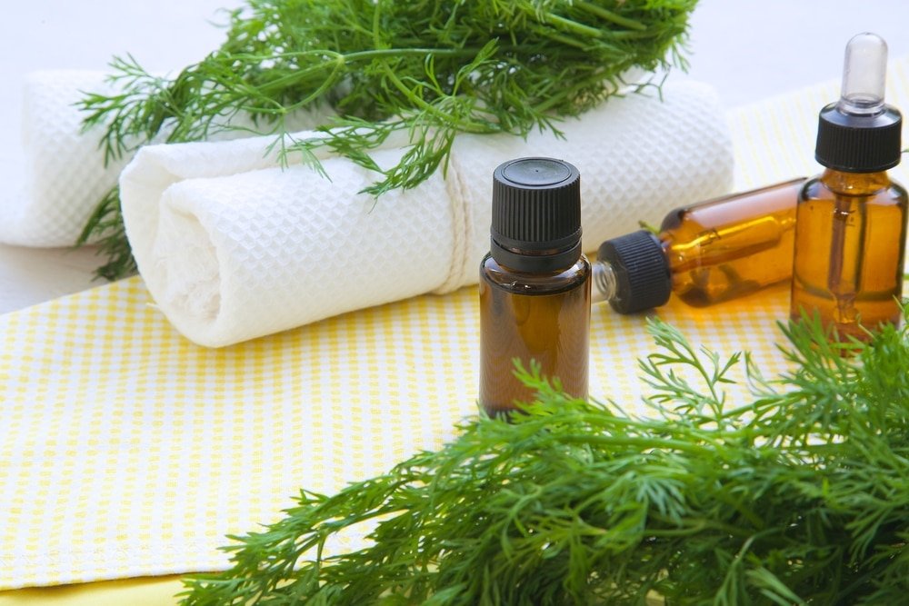 11 Amazing Health Benefits of Dill Essential Oil