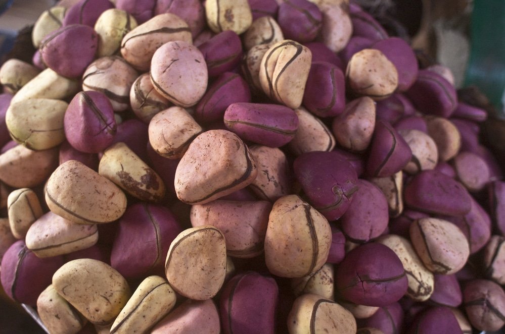 11 Amazing Health Benefits of Kola Nut