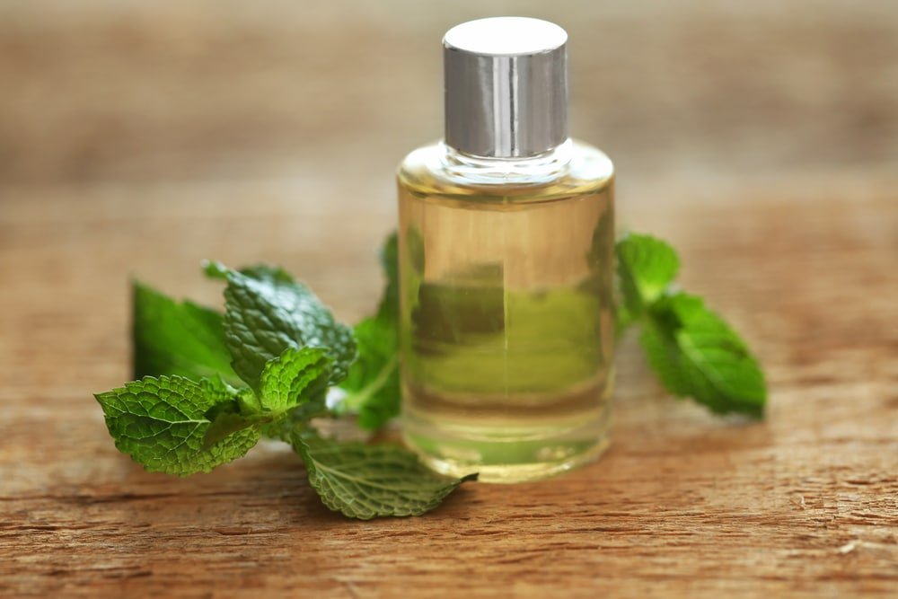 11 Amazing Benefits of Spearmint Essential Oil