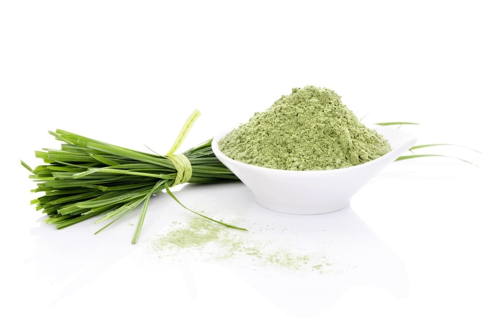 11 Amazing Health Benefits of Barley Grass