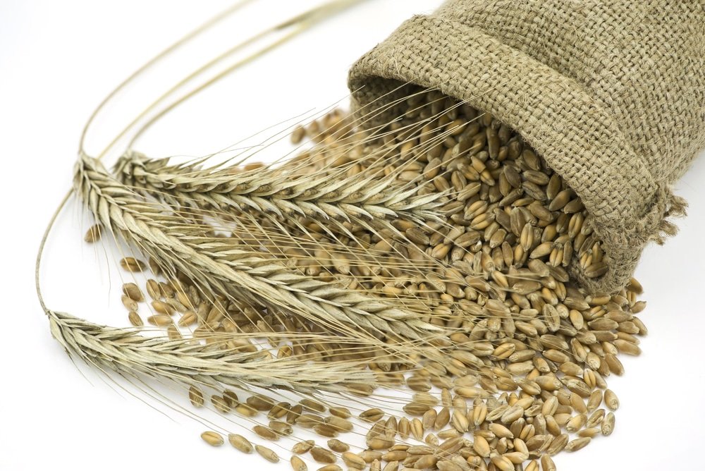 11 Amazing Health Benefits of Rye