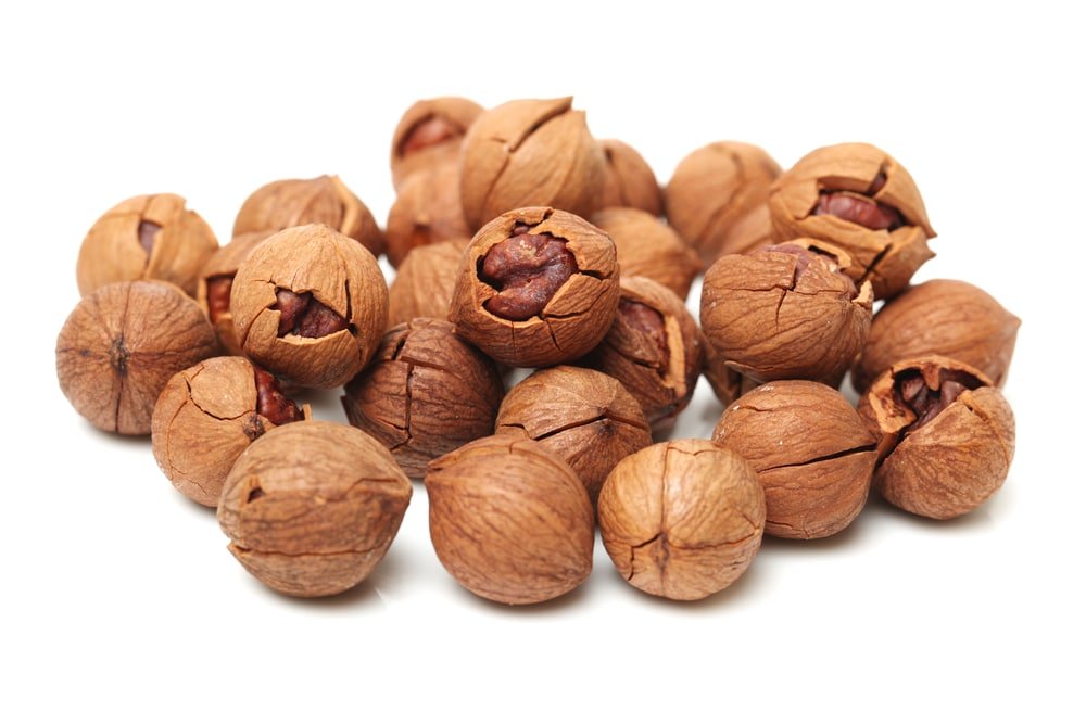 11 Amazing Benefits of Hickory Nut